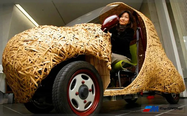 بامبو چیست؟ ماده‌ای پایدار برای پوشش خودروها